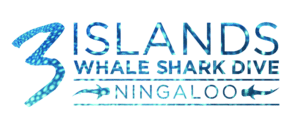 3 Islands Master with Skin logo-01