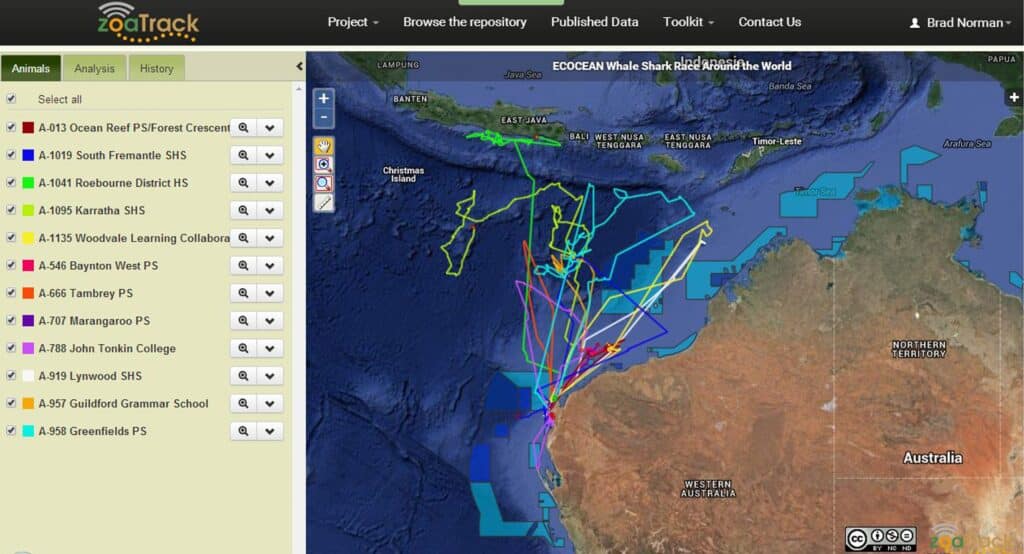 Whaleshark Track Maps